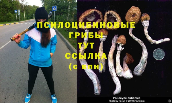 кокаин VHQ Кинешма