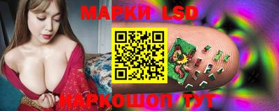 стаф Рязань