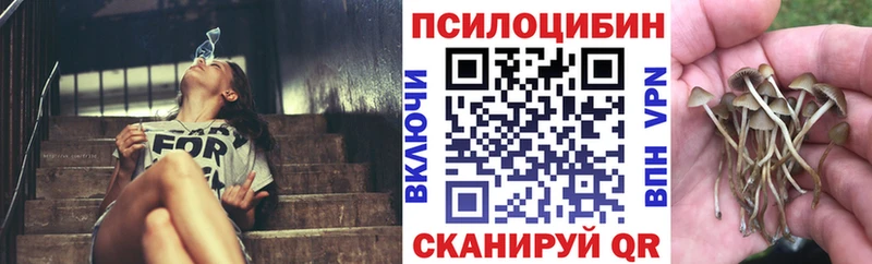 Галлюциногенные грибы Cubensis Моршанск
